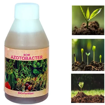 ROM 5 kg Azotobacter Bio-Fertilizer Powder | Nitrogen Fixing Bacterium